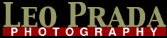 prada photo